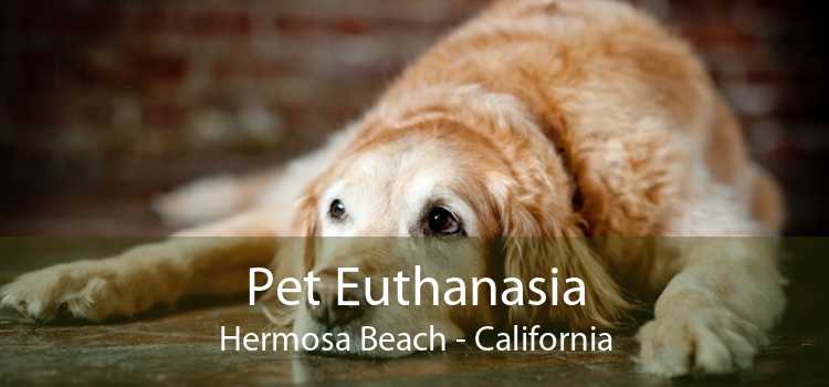 Pet Euthanasia Hermosa Beach - California