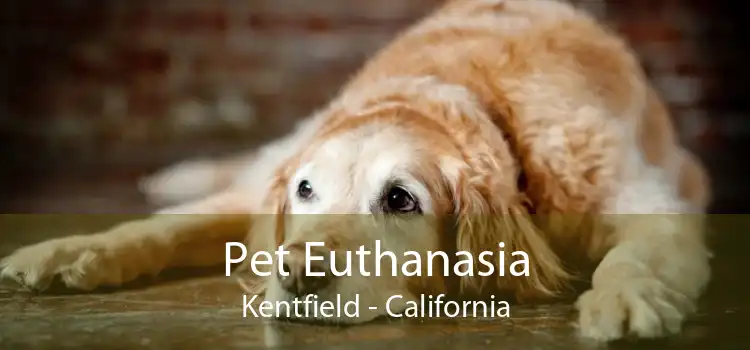 Pet Euthanasia Kentfield - California