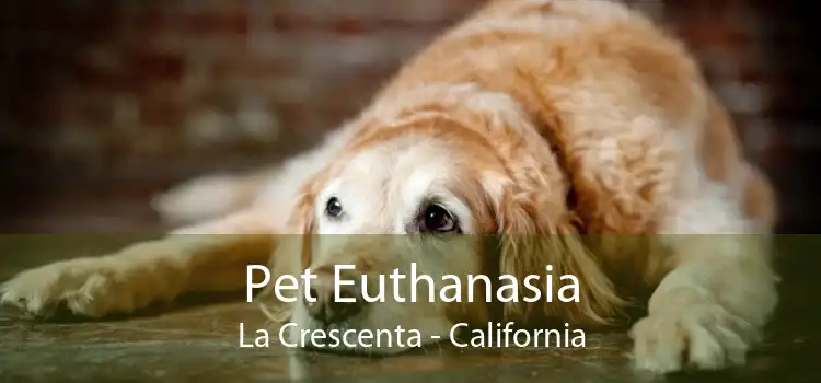 Pet Euthanasia La Crescenta - California
