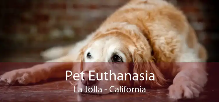 Pet Euthanasia La Jolla - California