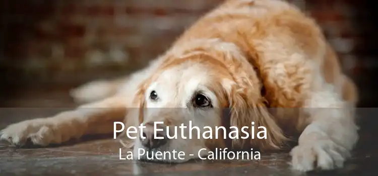 Pet Euthanasia La Puente - California