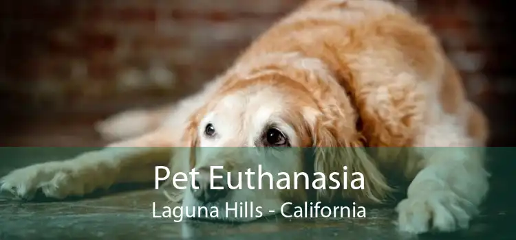 Pet Euthanasia Laguna Hills - California