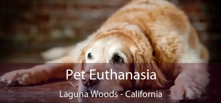 Pet Euthanasia Laguna Woods - California