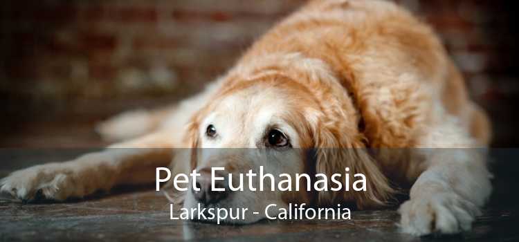 Pet Euthanasia Larkspur - California
