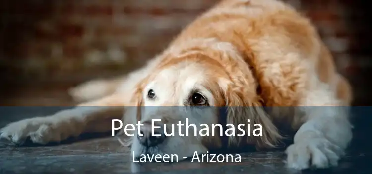 Pet Euthanasia Laveen - Arizona