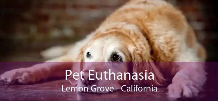 Pet Euthanasia Lemon Grove - California