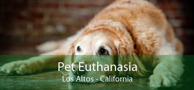 Pet Euthanasia Los Altos - California