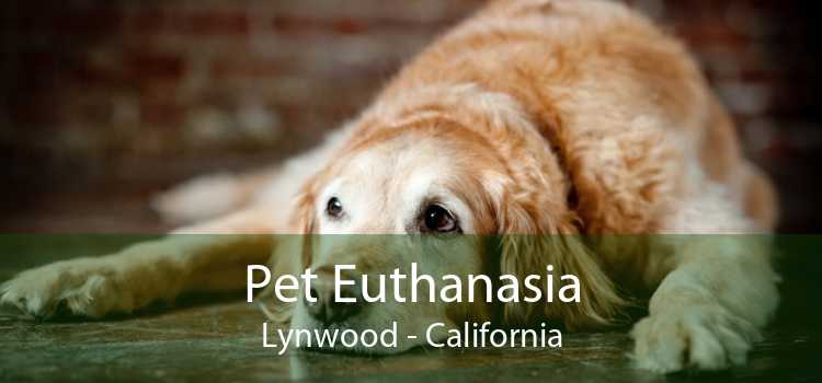 Pet Euthanasia Lynwood - California