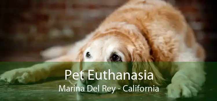 Pet Euthanasia Marina Del Rey - California