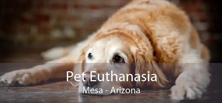 Pet Euthanasia Mesa - Arizona
