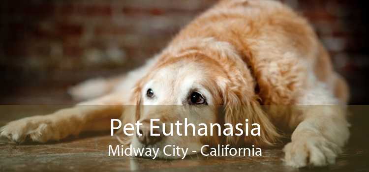 Pet Euthanasia Midway City - California