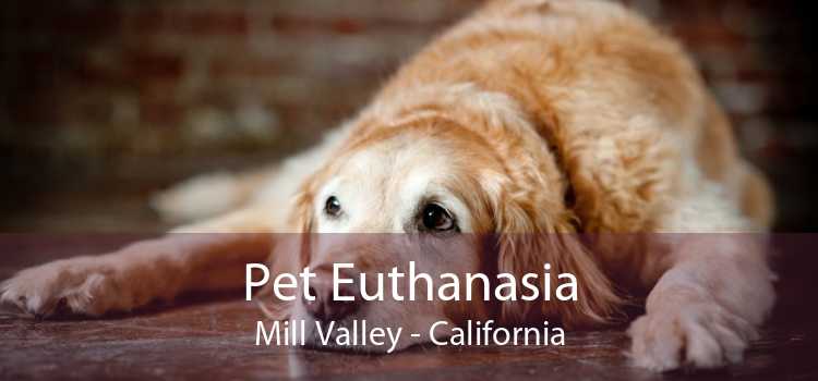 Pet Euthanasia Mill Valley - California