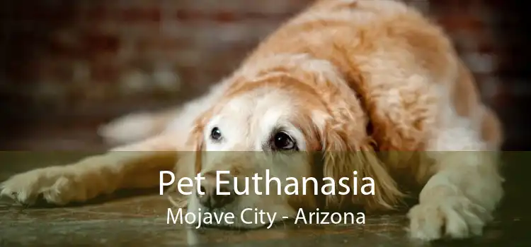 Pet Euthanasia Mojave City - Arizona