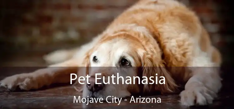 Pet Euthanasia Mojave City - Arizona