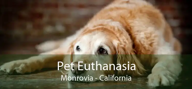 Pet Euthanasia Monrovia - California