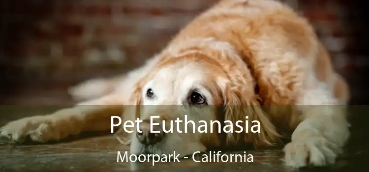 Pet Euthanasia Moorpark - California