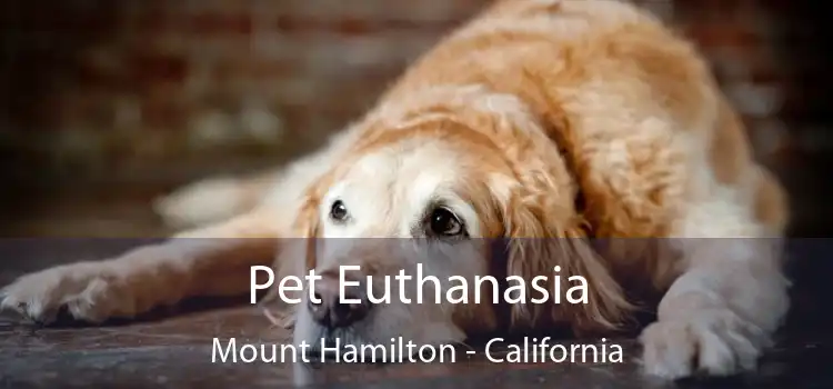 Pet Euthanasia Mount Hamilton - California