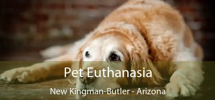 Pet Euthanasia New Kingman-Butler - Arizona