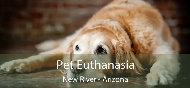 Pet Euthanasia New River - Arizona