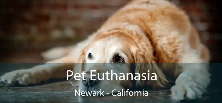 Pet Euthanasia Newark - California