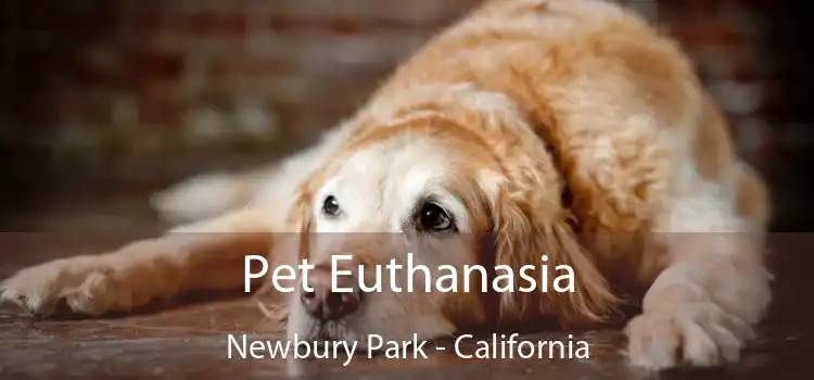 Pet Euthanasia Newbury Park - California