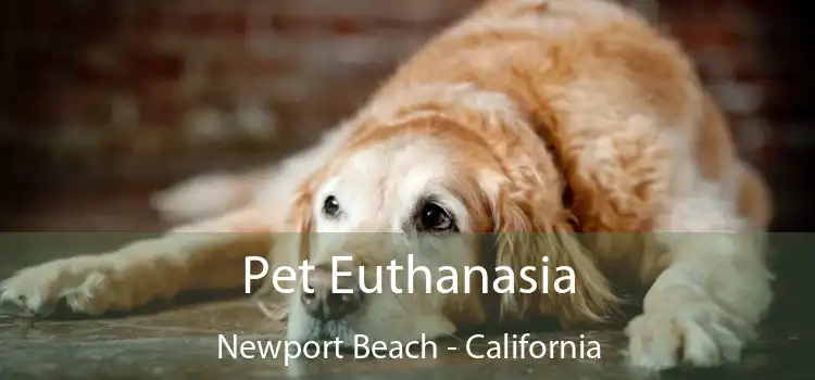 Pet Euthanasia Newport Beach - California