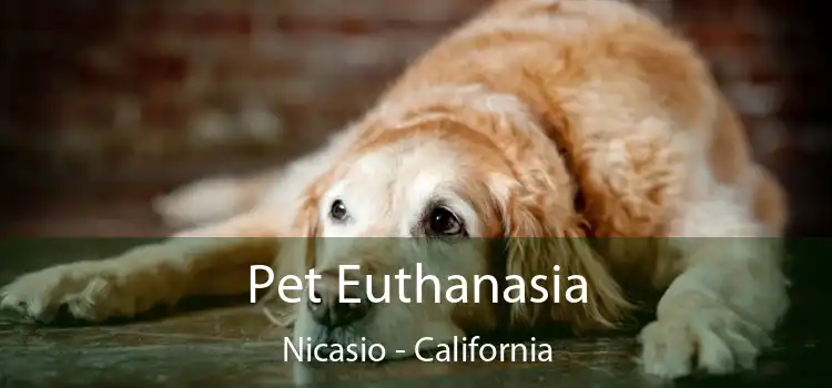 Pet Euthanasia Nicasio - California