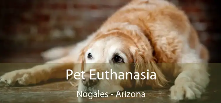 Pet Euthanasia Nogales - Arizona