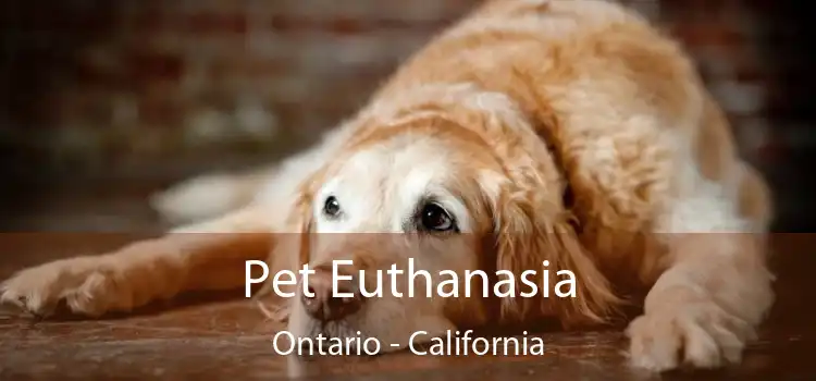 Pet Euthanasia Ontario - California