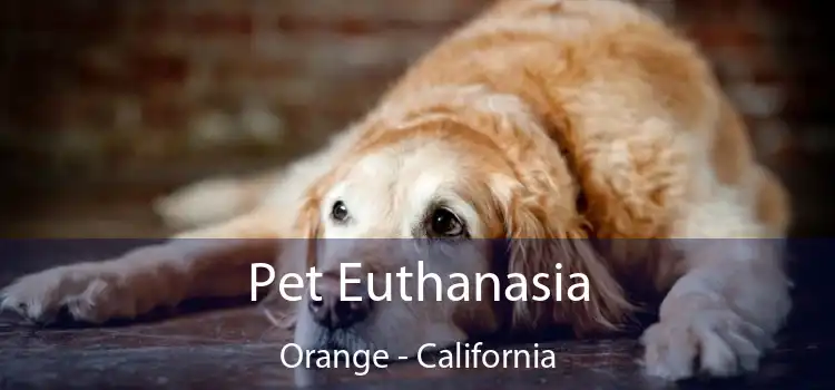 Pet Euthanasia Orange - California
