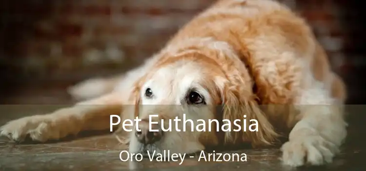 Pet Euthanasia Oro Valley - Arizona