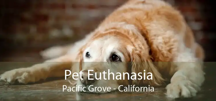 Pet Euthanasia Pacific Grove - California
