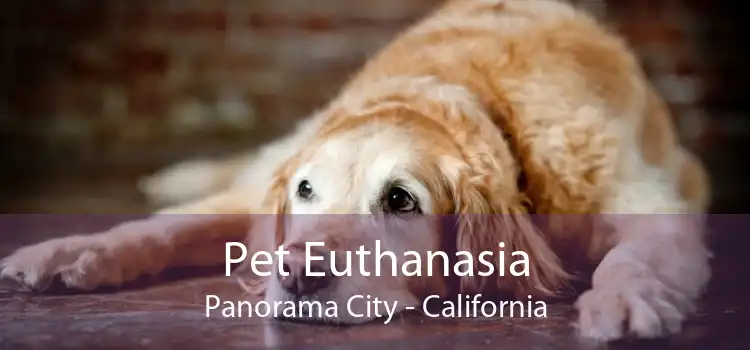 Pet Euthanasia Panorama City - California