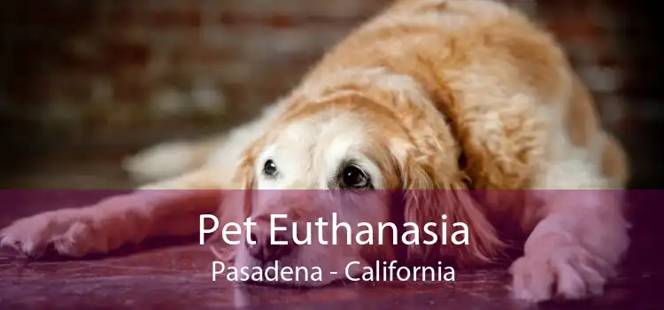 Pet Euthanasia Pasadena - California
