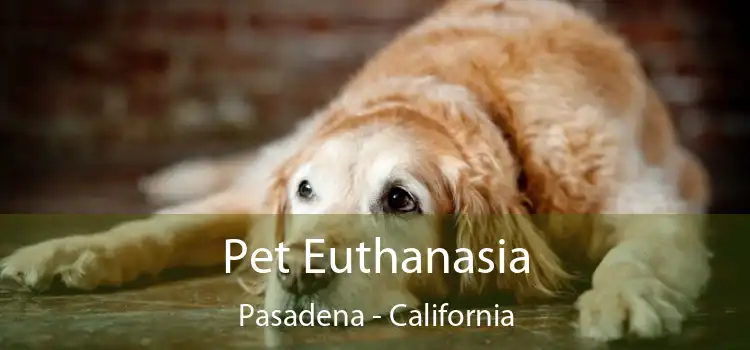 Pet Euthanasia Pasadena - California