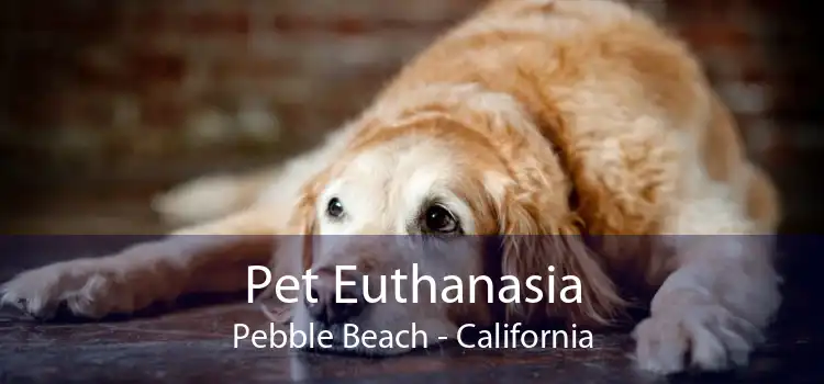 Pet Euthanasia Pebble Beach - California