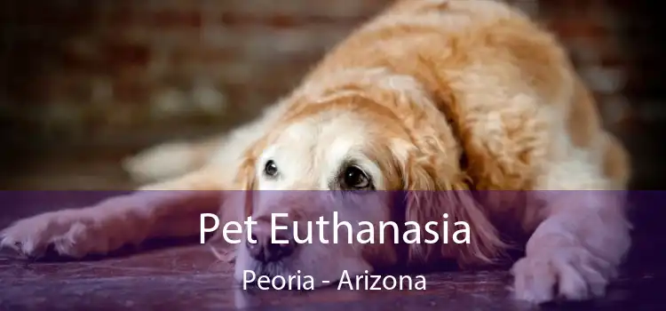 Pet Euthanasia Peoria - Arizona