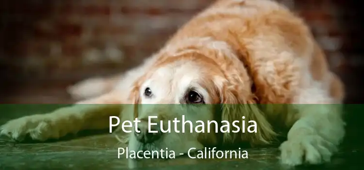 Pet Euthanasia Placentia - California