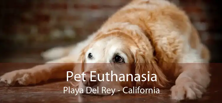 Pet Euthanasia Playa Del Rey - California