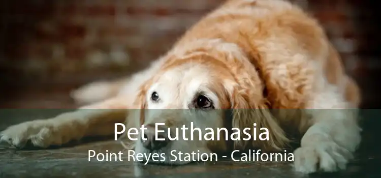 Pet Euthanasia Point Reyes Station - California