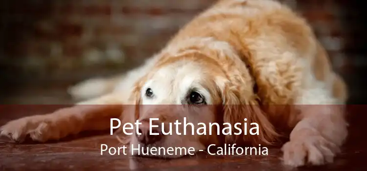 Pet Euthanasia Port Hueneme - California