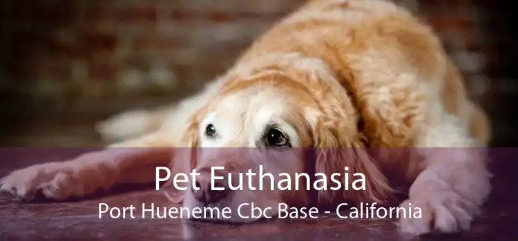 Pet Euthanasia Port Hueneme Cbc Base - California