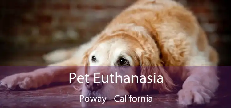 Pet Euthanasia Poway - California