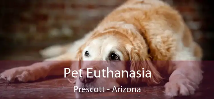 Pet Euthanasia Prescott - Arizona