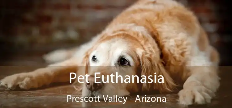 Pet Euthanasia Prescott Valley - Arizona