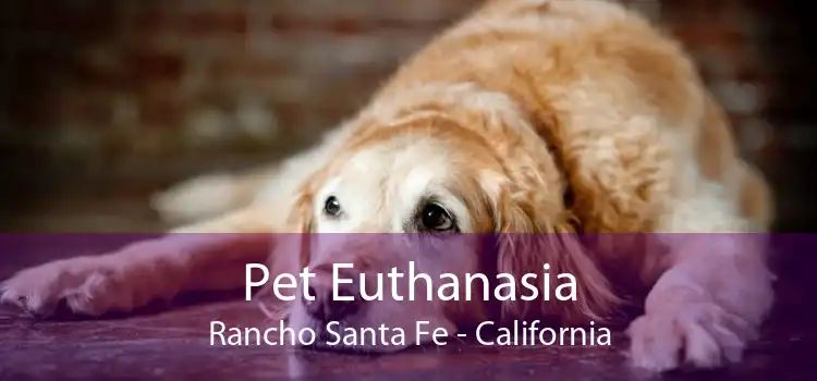 Pet Euthanasia Rancho Santa Fe - California