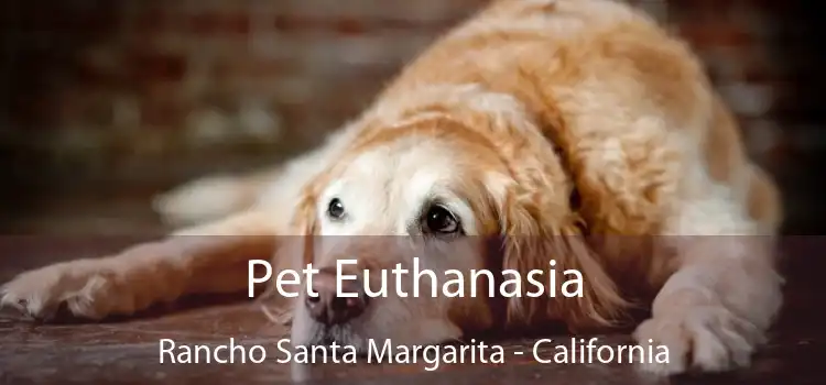 Pet Euthanasia Rancho Santa Margarita - California