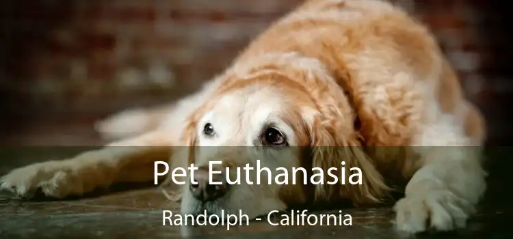 Pet Euthanasia Randolph - California