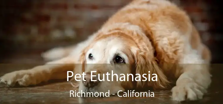 Pet Euthanasia Richmond - California