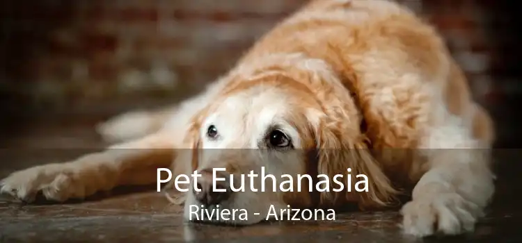 Pet Euthanasia Riviera - Arizona